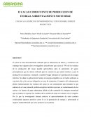Cacao como fuente de produccion de energia