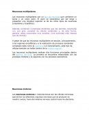 Neuronas multipolares y motoras