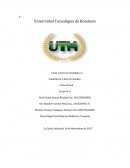 Boquitas ribereñas estrategias de mercadeo