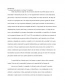 MOTRICIDAD Y OCUPACION HUMANA