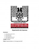 Organización de Empresas