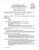 Investigación de operaciones GUÍA DE TRABAJO EX-AULA CII/17