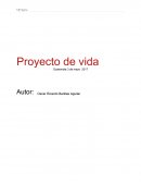 Proyecto de vida Mision y vision