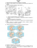 TALLER DE AFIANZAMIENTO