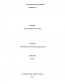 Cono dentro del cono