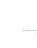 Ensayo de "el camino del guerro"