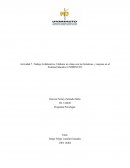 Actividad trabajo colaborativo. Elaborar un video con las fortalezas, y mejoras en el Sistema Educativo UNIMINUTO