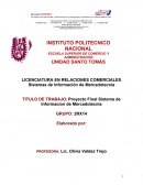 Proyecto Final Sistema de Informacion de Mercadotecnia