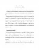 Conciencia e Imagen. Características de la imagen