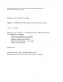 LA FAMILIA . SOPORTE Y MANTENIMIENTO DE EQUIPO DE COMPUTO