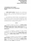 CONSTANCIAS DE TENENCIA DE TIERRAS