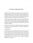 El cerebro y la inteligencia emocional