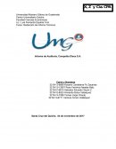 Informe de Auditoria, Compañía Oleos S.A.