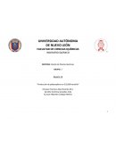 Reporte 10 “Producción de polipropileno en 220,000 ton/año”