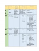 Pares craneales tabla