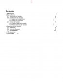 Clasificación de Teclado