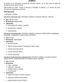 Guía de nombre clínico de músculos - Rehabilitación