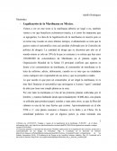 Legalización de la Marihuana en México