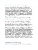 ¿Qué es la insulina y como se produce?