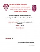 Proceso de Investigación de mercados
