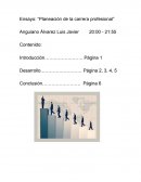 Ensayo Planeación de la Carrera Profesional