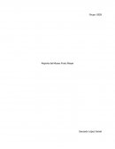 Reporte del Museo Franz Mayer