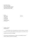 Núcleo de Sucre Carùpano Escuela de Humanidades y Educación