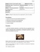 Módulo: 3 “Aspectos generales de las organizaciones.” Actividad: 11 “Estructura y tipos de organización”