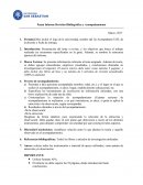 Pauta Informe Revisión Bibliográfica y Acompañamiento