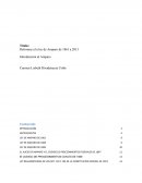 Reformas a la ley de Amparo de 1861 a 2013