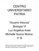 “Acuario Inbursa” Biología VI