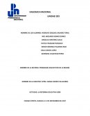 LA REFORMA EDUCATIVA 2009