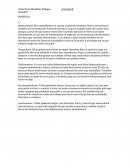 Actividad de comunicación. Ponencia