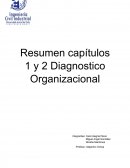 Resumen capitulo 1 y 2 Diagnostico Organizacional Dario Rodriguez
