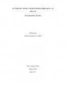 FACTORES DEL MACRO Y MICRO ENTORNO EMPRESARIAL Y SU IMPACTO