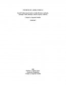 INFORME DE LABORATORIO RESUMEN