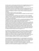 Artículo polipropileno