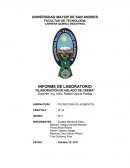 LABORATORIO DE CREMA DE HELADO