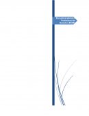 Las garantías constitucionales en el Perú