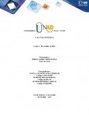 CALCULO INTEGRAL FASE 2 - PLANIFICACION