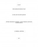 SISTEMA FINANCIERO COLOMBIANO – ADM EN FINANZAS Y NEGOCIOS INTERNACIONALES