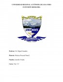 Práctica Procesal Penal