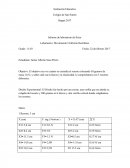 Bases de una vida buena