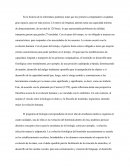 Cómo implementar la antropología filosófica en la enseñanza de la biología en el curriculum chileno