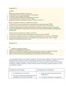 Organizacion laboral preguntas