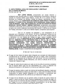 DEMANDA DESPIDO INJUSTIFICADO FEDERAL - Documentos de Investigación -  ederpineda85