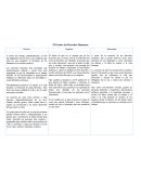 PNI sobre los Derechos Humanos