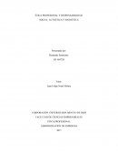 ÉTICA PROFESIONAL Y RESPONSABILIDAD