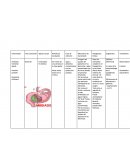 Patologías frecuentes en México