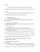 Manual Etapas a Considerar